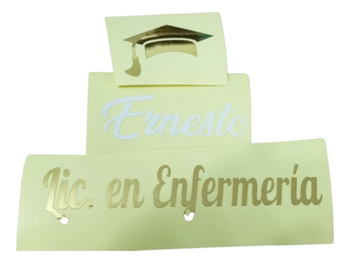 50 Stickers Personalizados Graduación 2 Colores