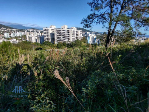 Imagem 7 de 19 de Terreno À Venda, 450 M² Por R$ 787.000,00 - Itacorubi - Florianópolis/sc - Te0280