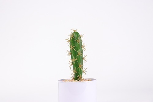 Adorno Tuna Cactus Decoración Hogar