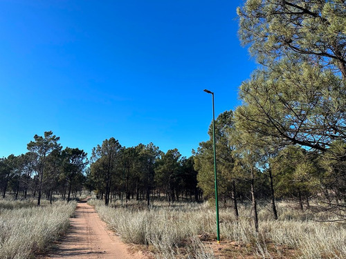 Lotes En Venta Reserva Darwin!! Balneario Pehuen Co