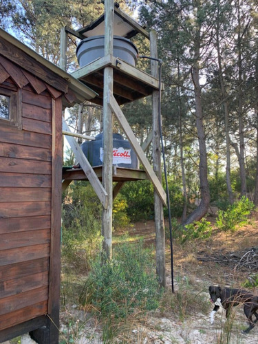 Cabaña De Madera Con Pilares De Hormigón, Entorno Natural