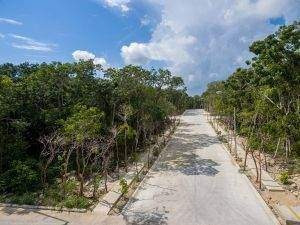 Imagen 9 de 16 de Proyecto De Lotes En Venta Tulum