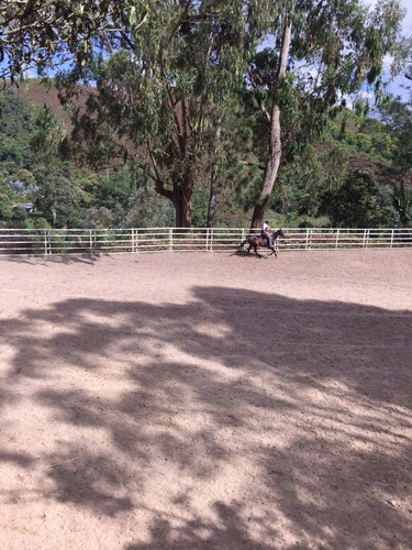 Imagen 19 de 23 de Finca Para Equitación. Miranda, San Antonio De Los Altos.