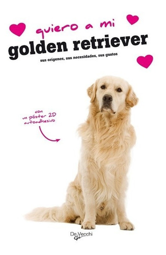 Golden Retriever Quiero A Mi . Con Poster 2d