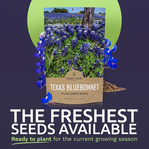 Texas Bluebonnet - Semillas De Flores Silvestres Bolsa A G