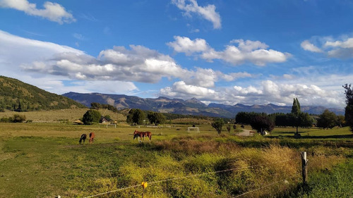 Imagen 5 de 30 de Susana Aravena Propiedades- Lote En Venta En San Martin De Los Andes