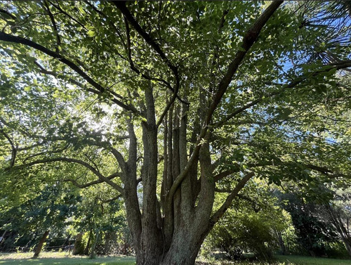Terreno En Venta, Parque Natura, Los Cardales