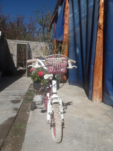 Bici Raleight Para Nena Rodado 12 Casi Nueva