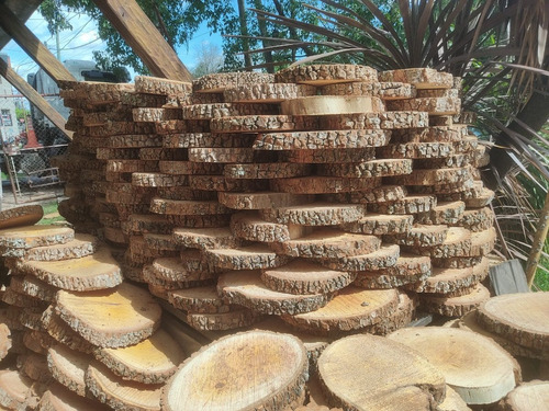 Imagen 5 de 9 de Rodajas De Madera Quebracho Para Camino Jardín Y Deco