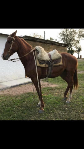 Imagen 2 de 6 de Vendo O Permuto