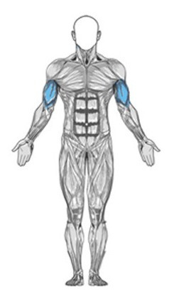 Extensor Puxador Triceps Biceps Remada Multi Funcional