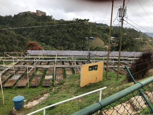 Imagen 10 de 12 de Finca Venta Corralito Riv#6143