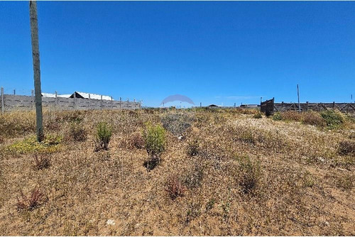 Excelente Terreno En Guanaqueros, Oportunidad