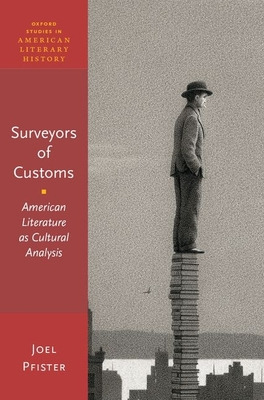 Libro Surveyors Of Customs: American Literature As Cultur...