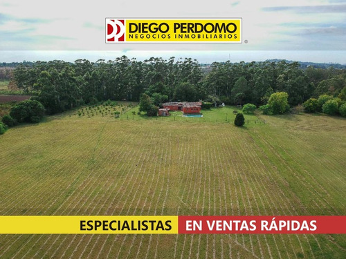 Imagen 6 de 17 de Chacra De 7 Ha En Venta, Montevideo
