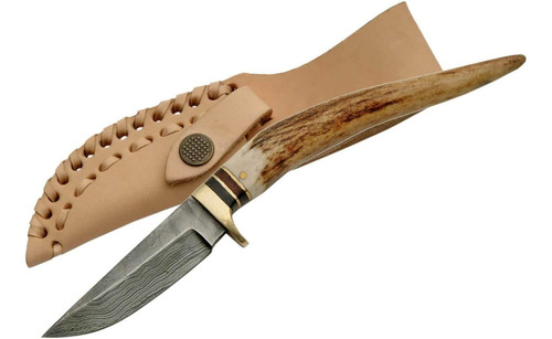 Szco Supplies Stag Spike Hunting Knife