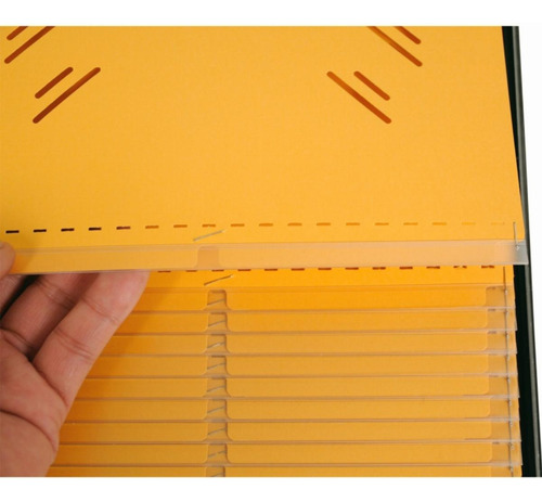 Lion Visible Record Book, Removable 25-pocket, 1 Book (185)