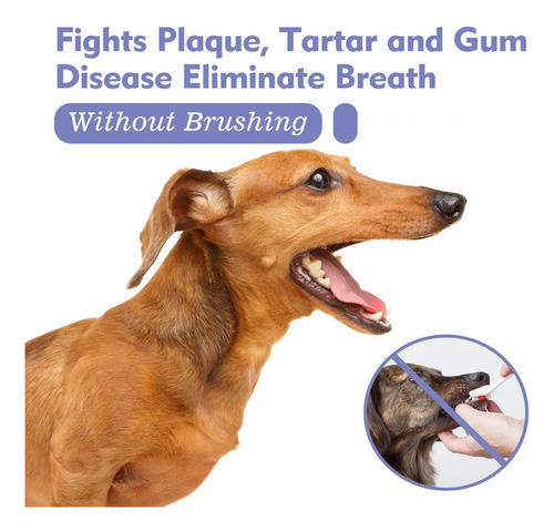 De Spray Oral Para Animales De Estimación Para Limpiar