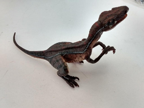 Dinosaurio Velociraptor Detallado Brazos Y Mandíbula Móviles