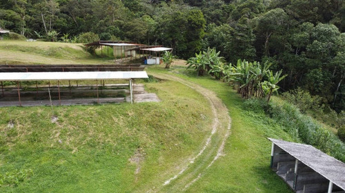 N.m. Finca En Venta En Capacho