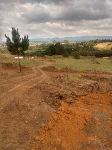 Imagem 3 de 14 de 3-ficou Fácil Adquirir Seu Lote, Ótima Localização!
