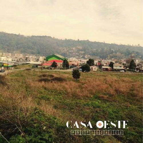 Camino Nonguén 873