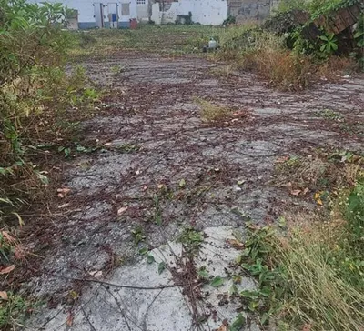 Terreno en alquiler