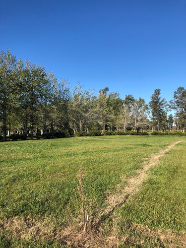 Imagen 4 de 13 de Lote | Ruta Nacional Nº 8