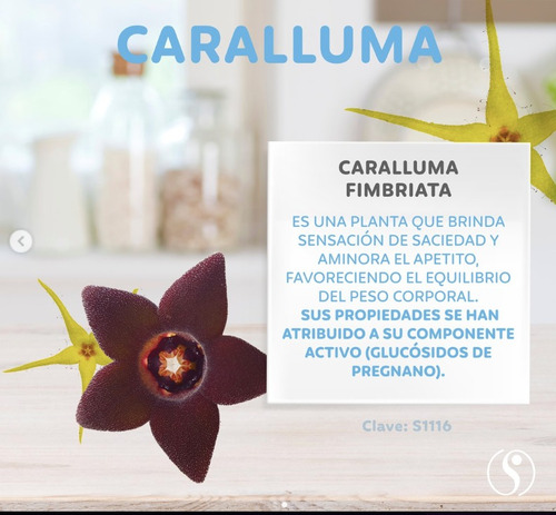Bebida Caralluma/ Ansiedad De Comer & Disminuye Apetito