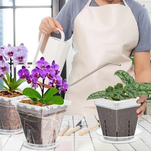 Maceta Para Orquídeas, Paquete De 7 Unidades De 6 Pulgadas H