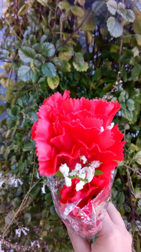 Imagen 4 de 4 de Ramo Flores Artificiales , Claveles De Tela, Flores En Tela