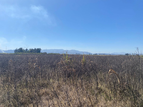Terreno En Venta En Tala, Jalisco