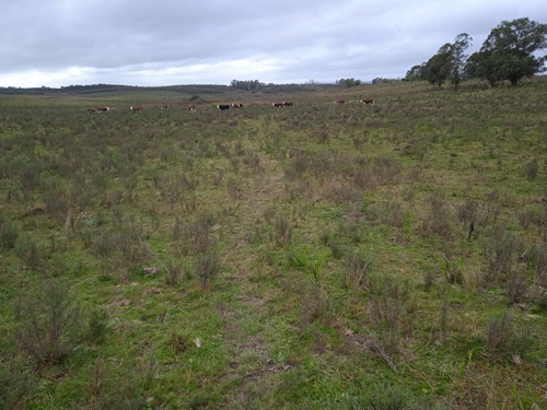 Campo De 23 Hectáreas En Canelones