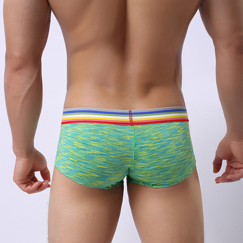 Calzoncillos Cortos Para Hombre, Calzoncillos Tipo Bóxer Par