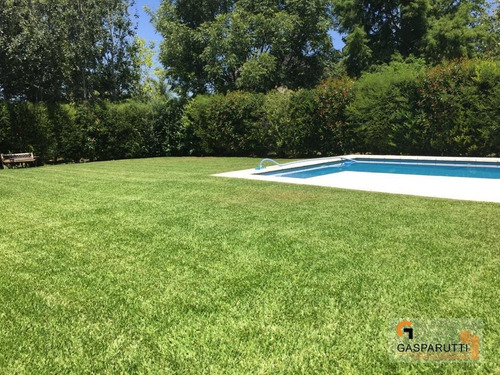 Imagen 5 de 24 de Excelente Casa 5 Ambientes En Septiembre!