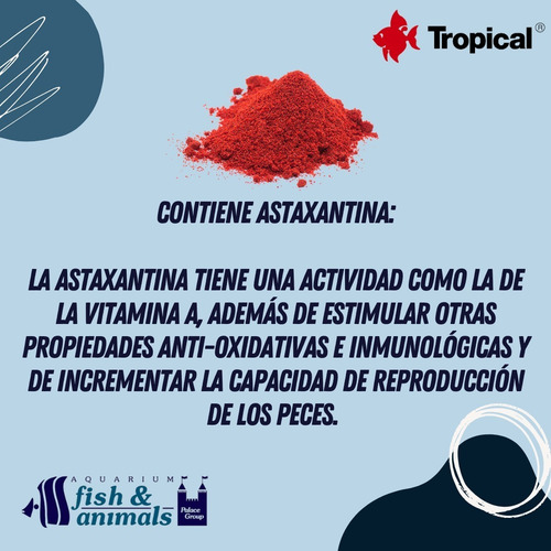 Imagen 4 de 6 de Alimento Comida Para Peces Marinos Bionautic Chips 520g