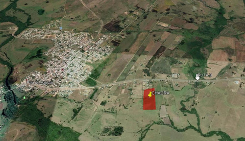 Imagen 5 de 8 de Chacra A Metros De Ruta 9 Y A 20 Minutos De La Playa