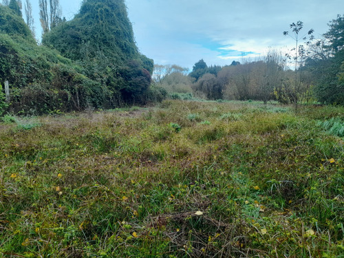 Preparate Para Una Nueva Inversion En Osorno