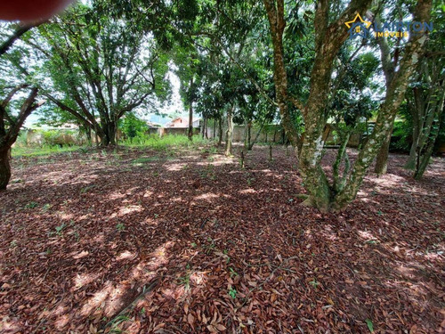 Chácara À Venda, 2400 M² Por R$ 550.000,00 - Canedos - Piracaia/sp - Ch1426