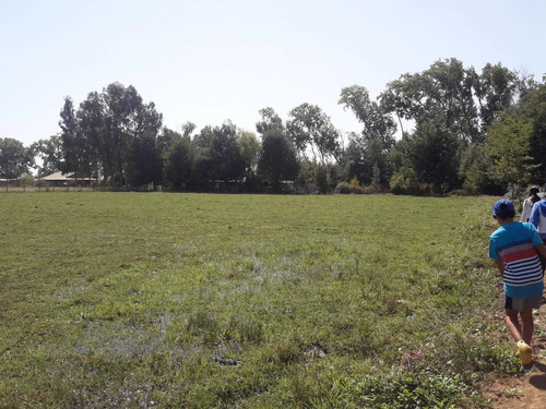Hermosa Parcela, Buen Terreno Con Agua