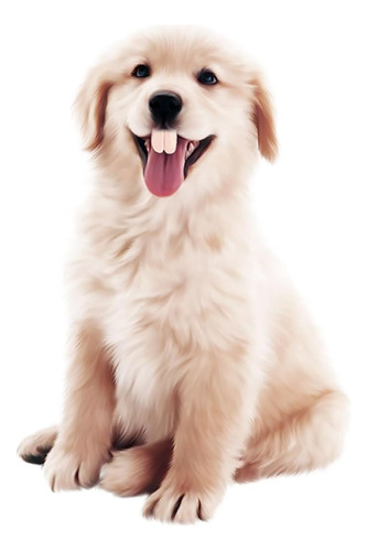 Dientes Postizos Para Perros, Divertidas Dentaduras Postizas