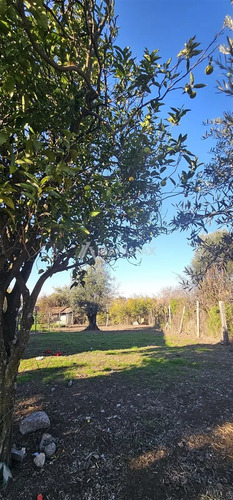 Tereno En Venta En Yumbel Centro