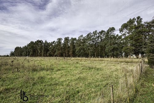 Campo En Jorge Newbery