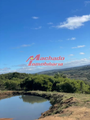 Vendo Hermosa Chacra En Las Cañas.