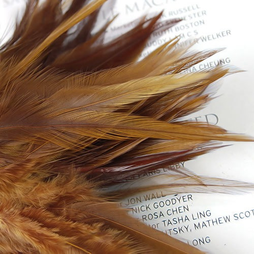 Imagen 6 de 11 de 20pcs Teñidos Del Gallo De Coque Silla De Plumas 3-5