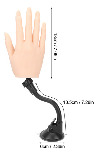 Uñas Postizas De Silicona Para Entrenamiento De Uñas, Articu