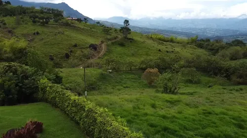 Finca En Venta En Támesis. Cod V12277
