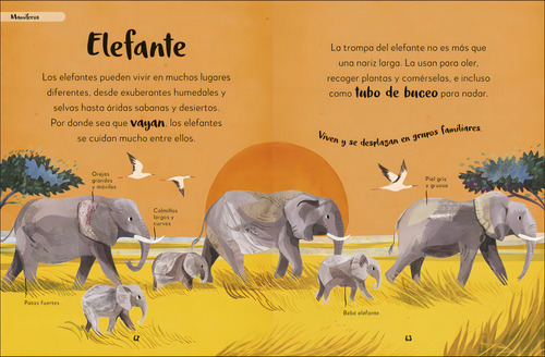 Mi Primer Libro De Animales