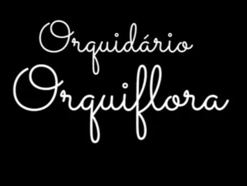 Anúncio Personalizado Orquidário Orquiflora #2 