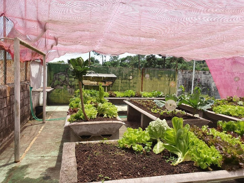 Chácara Com 3 Dormitórios À Venda, 1400 M² Por R$ 670.000 - Vista Alegre - Arujá/sp - Ch0083